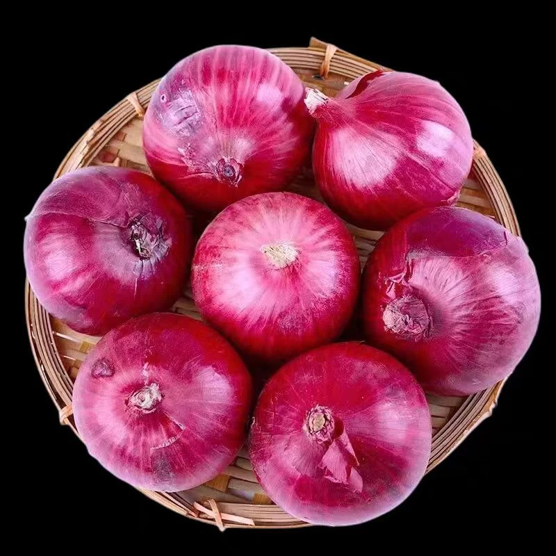 生吃脆甜多汁新鲜现挖水果扁洋葱蔬菜