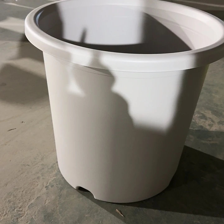 四季12号灰白无托2个