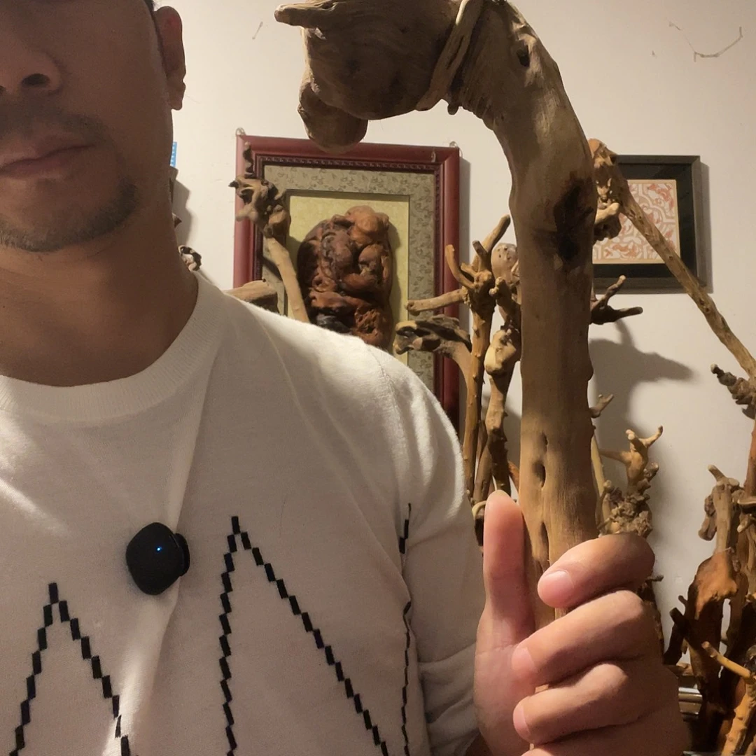 贵州铁马鞭登山杖