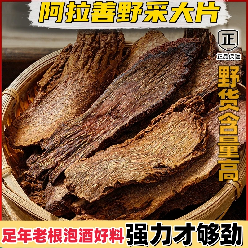 正宗荒漠野采锁根阳根阿拉善足年老根自然农产品根茎泡酒好料根部