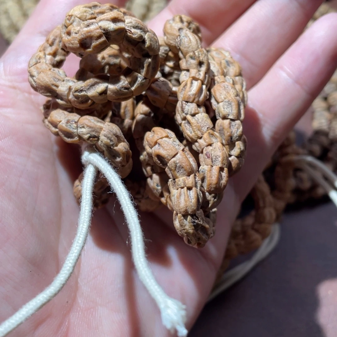 你***吗百香籽啊啊啊啊啊啊