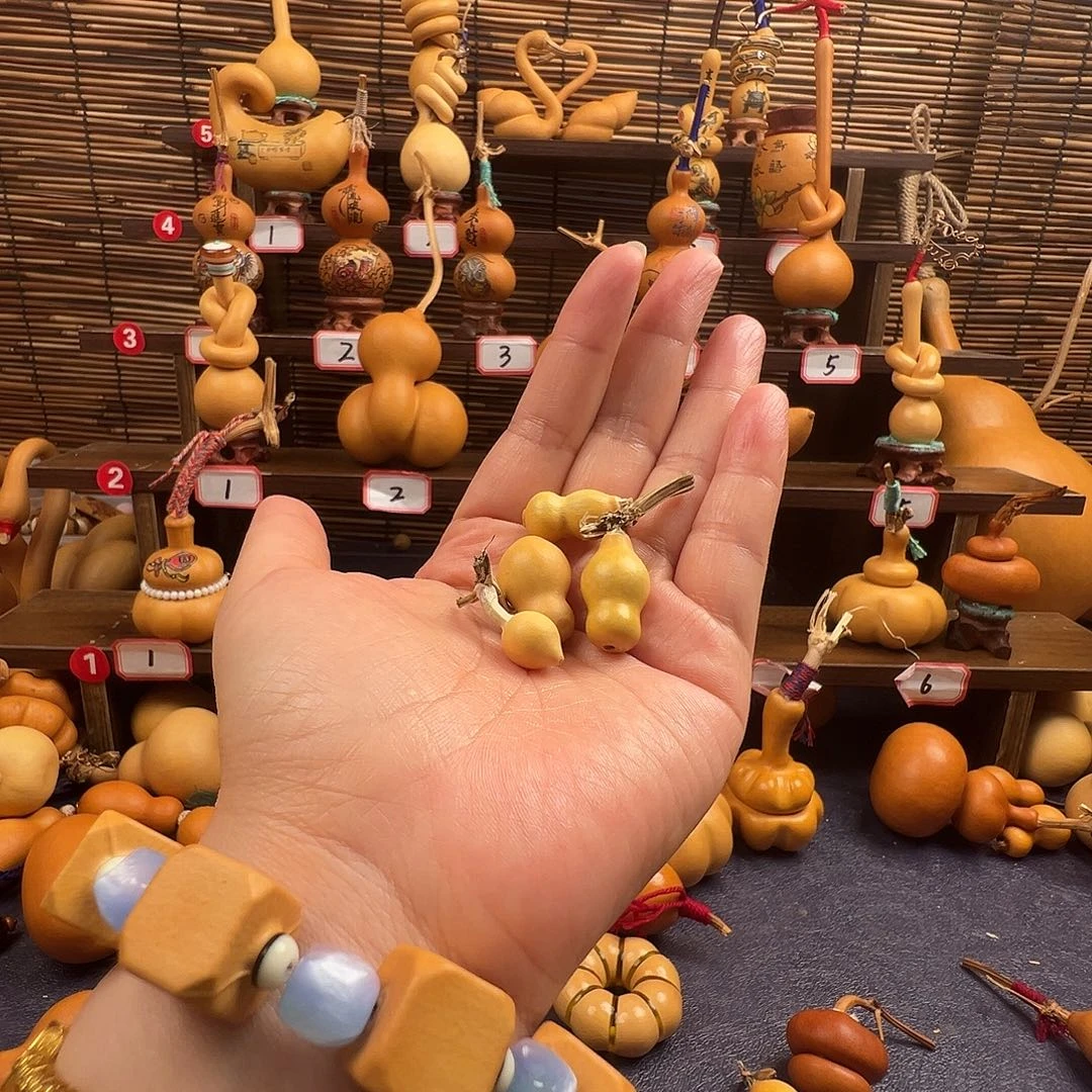 小***盆哈哈哈哈哈哈哈哈哈哈哈哈