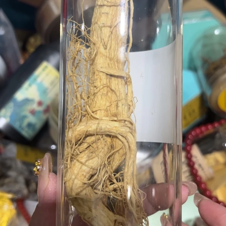 ————————————————紫砂