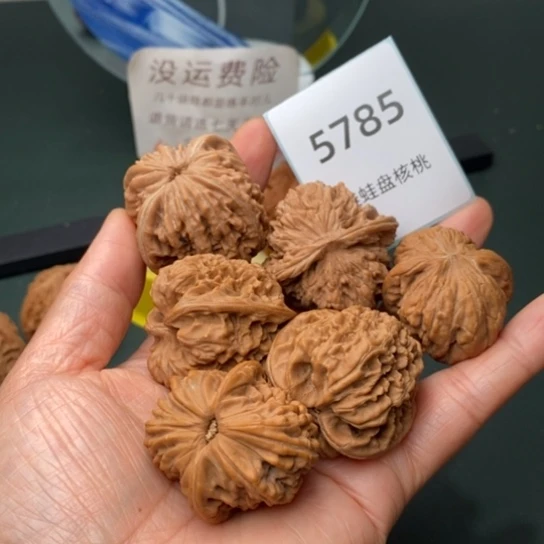 把件文玩核桃?*洋核桃3对578