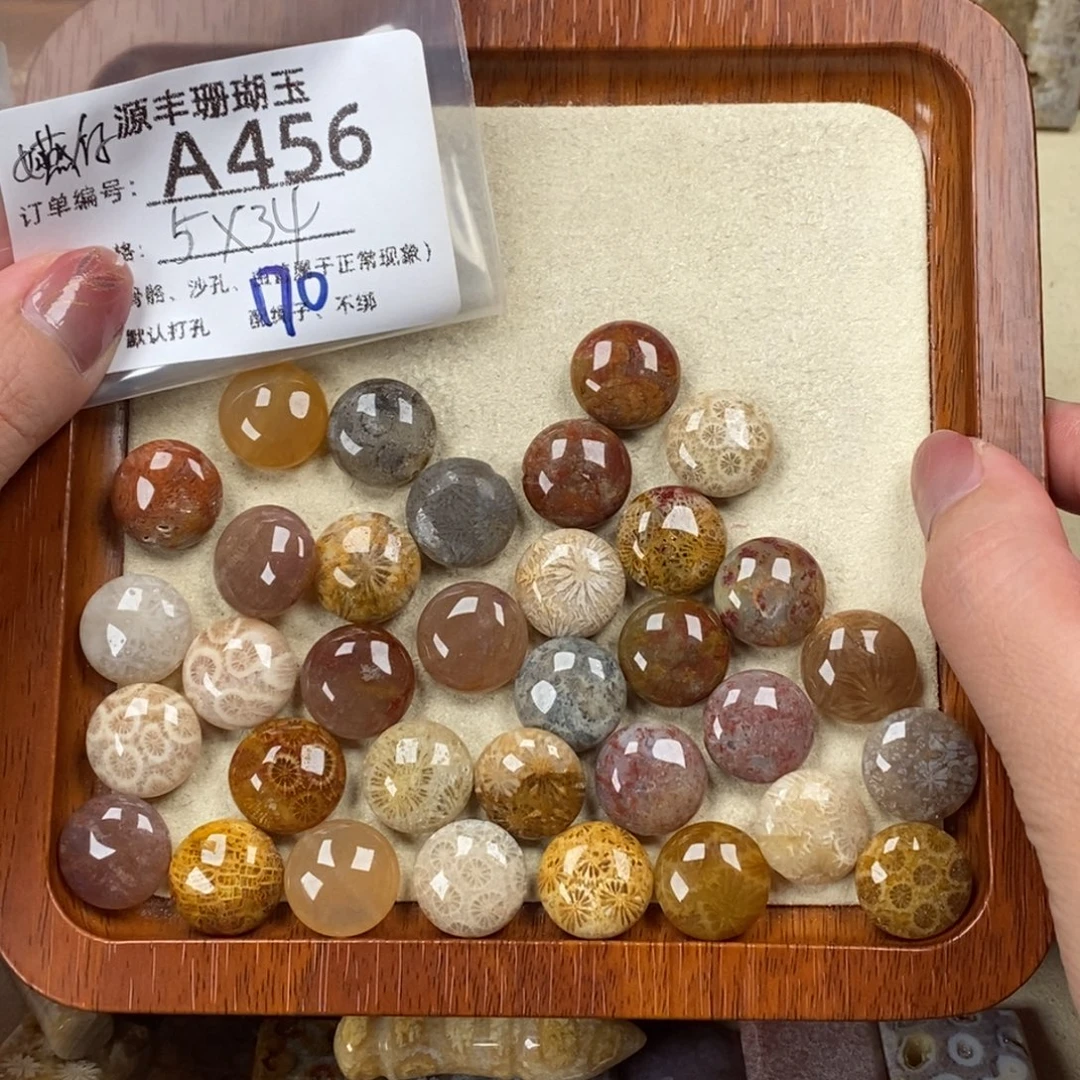 嬿***作硅化玉未镶嵌颈饰