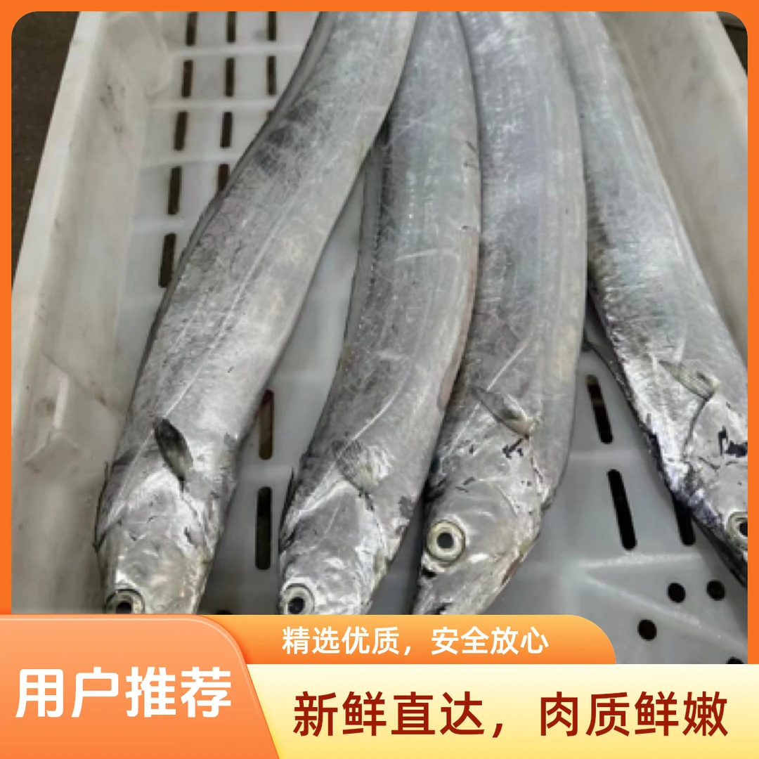 舟山钓带（粉糯口感 杀好请备注）99四斤