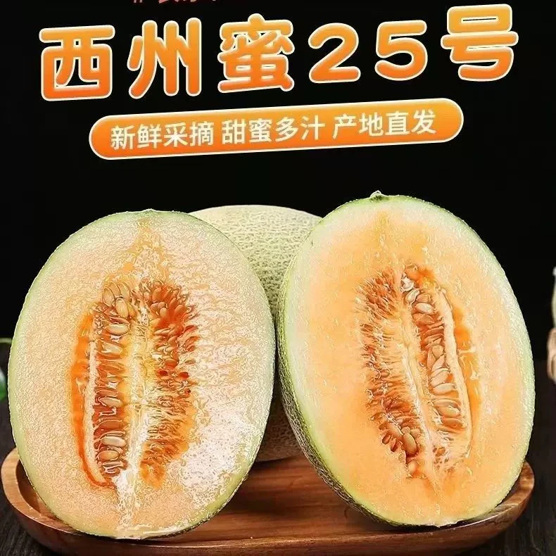 新疆直发哈密瓜吐鲁番甜瓜当季生鲜水果现摘现发整箱