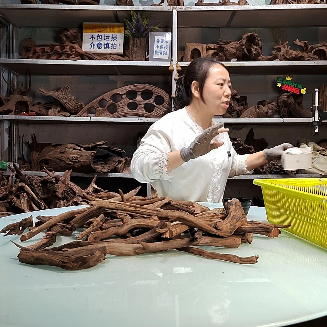 紫砂紫柚沉木一****米7063紫柚枝条