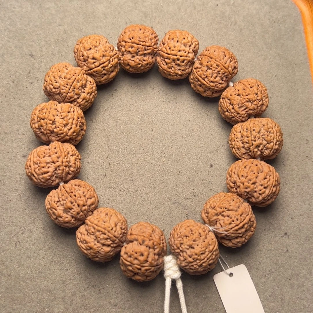 菩提22号金刚菩提六瓣菠萝蜜23+