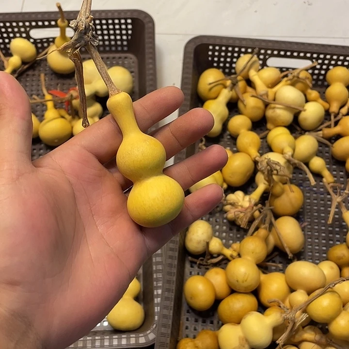 斯***熏感谢大哥支持兄弟