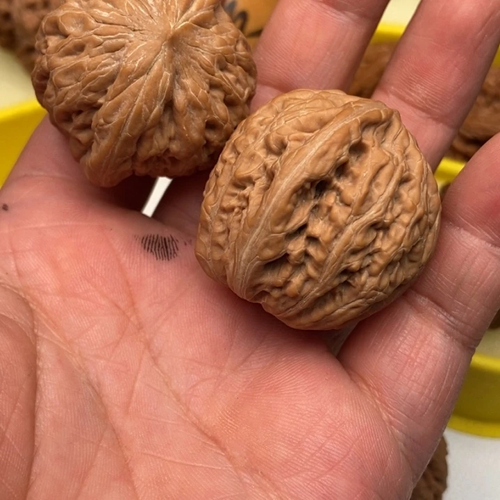 汇****器铁锤8888888888