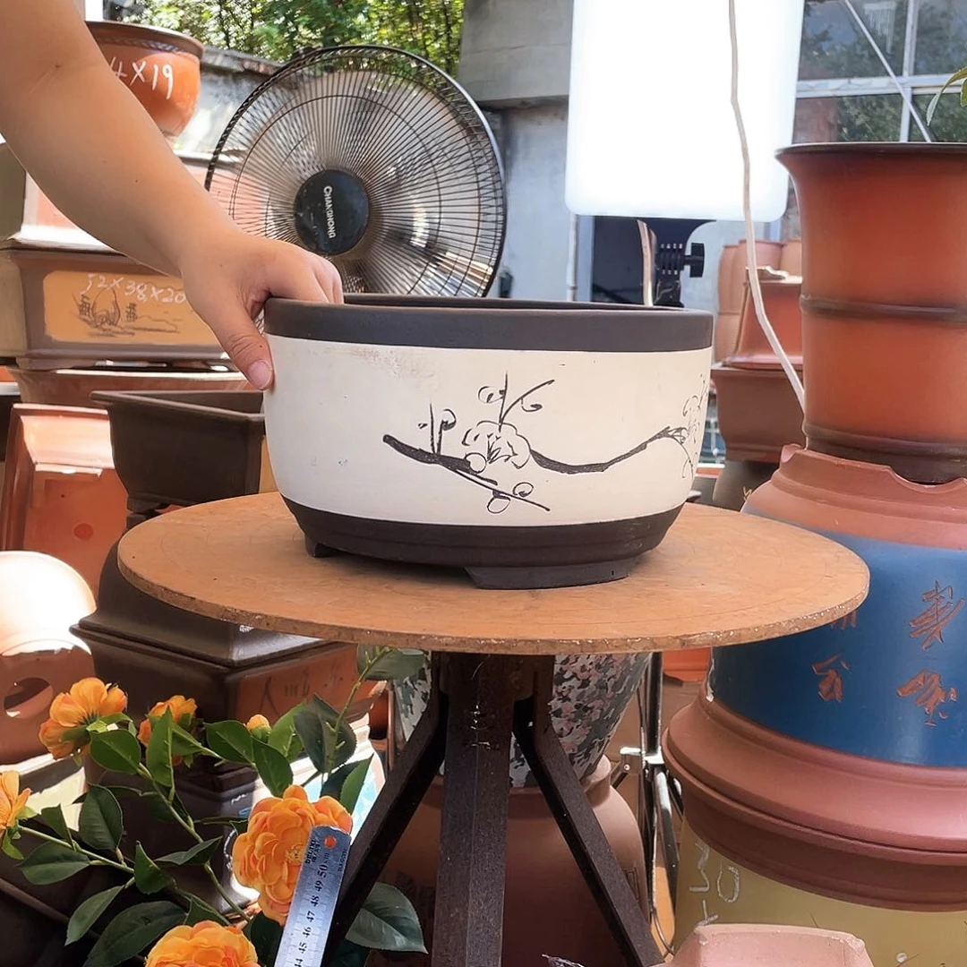 白色绿萝小花盆紫砂花盆