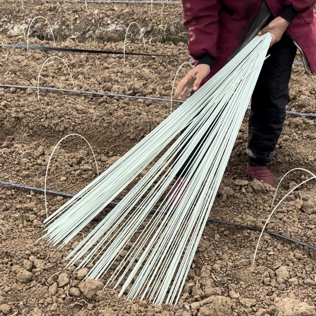 小拱棚支架保温棚花棚蔬菜棚拱杆农用园艺大棚骨架葡萄遮雨棚防雨