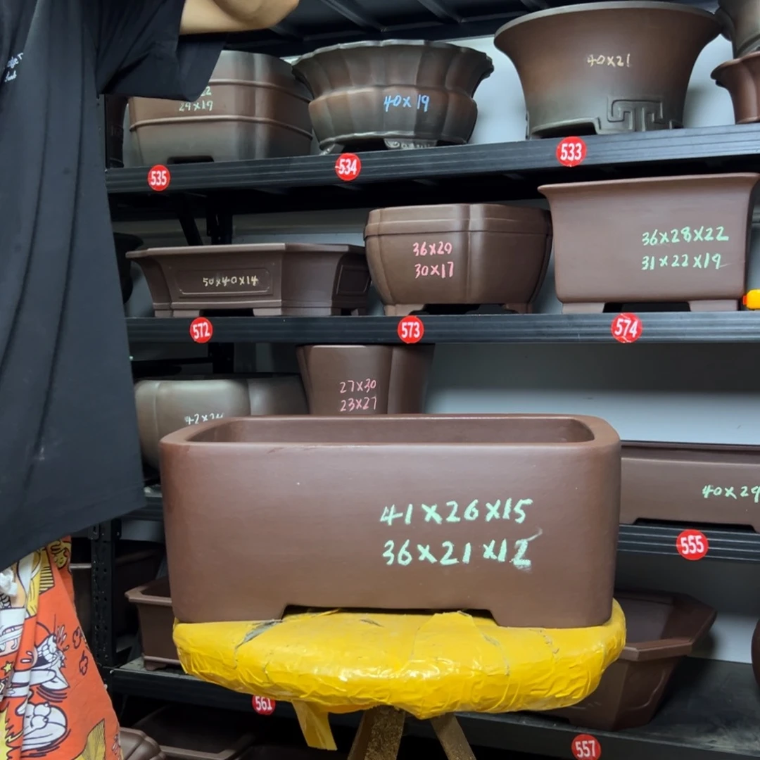 紫砂其他呜呜呜呜