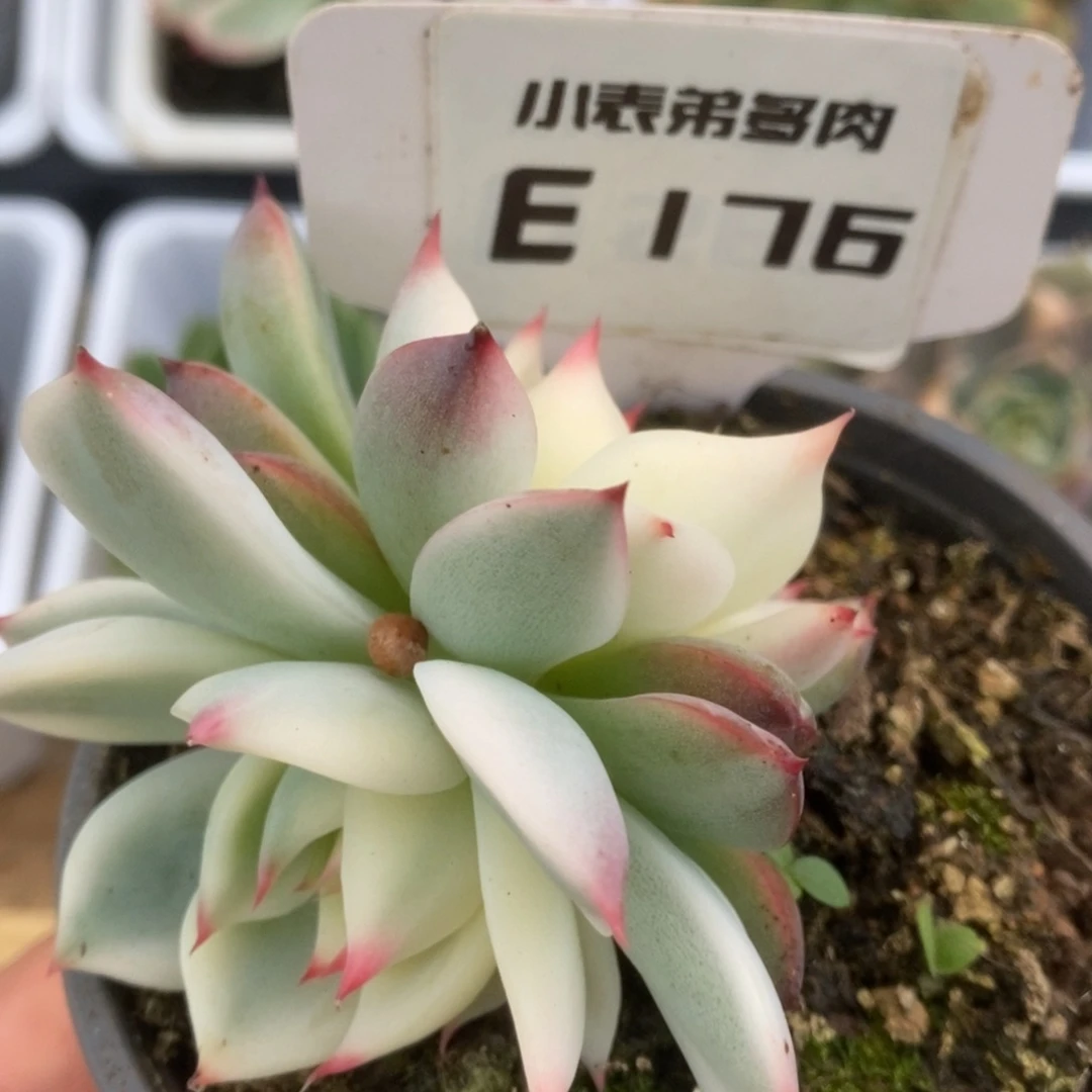 176两个状态可分开h h h h