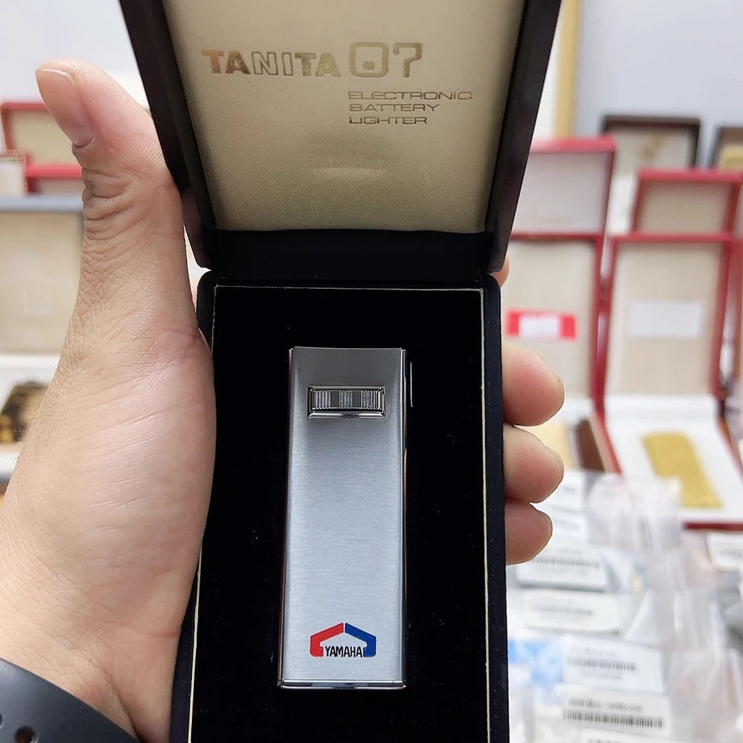 塔尼塔脉冲机侧滑