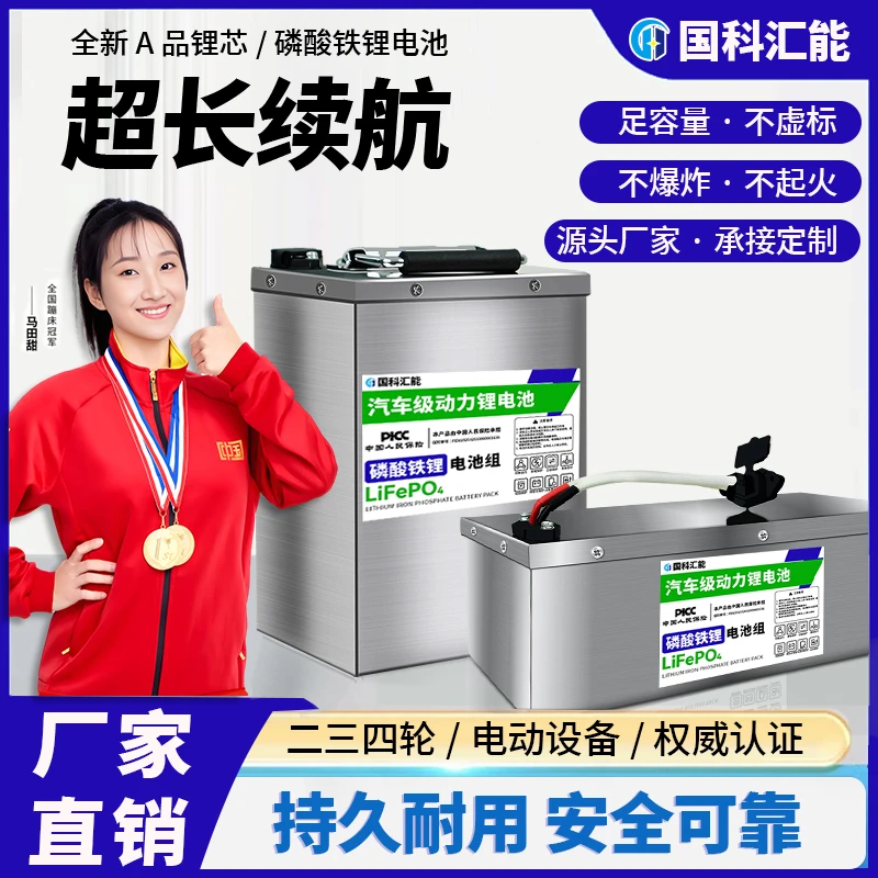 48V15直播间活动国轩亿纬磷酸铁锂电池两轮电动车电瓶车