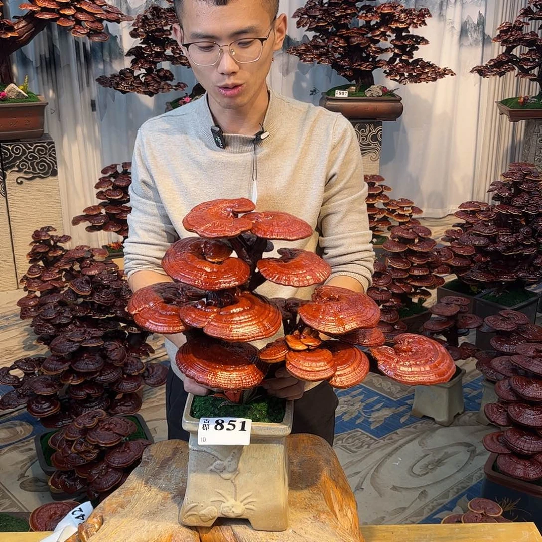 无花朵888888888888