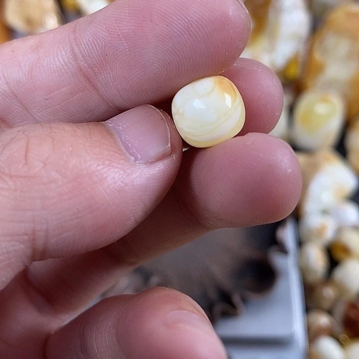 琥珀未镶嵌裸石我