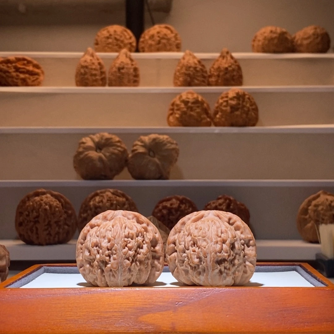 39.5全品白狮子闷白