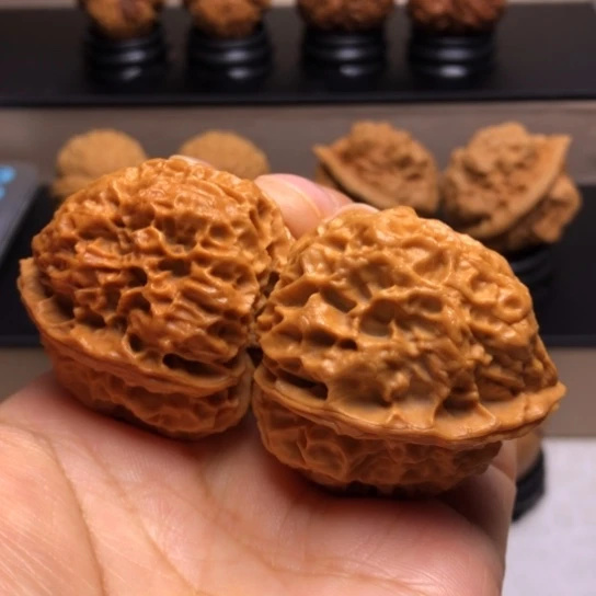 文玩核桃把件珊瑚石3