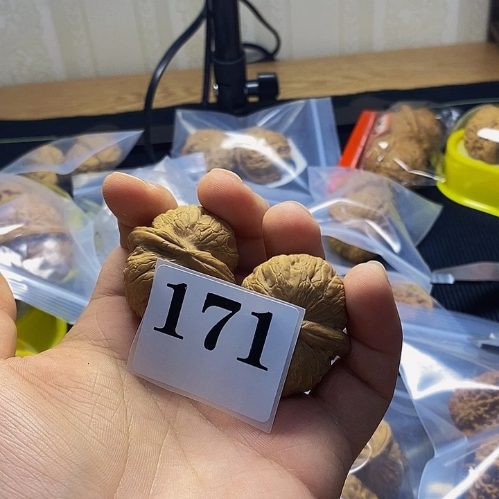 171号全品白茬38元宝，全品无修