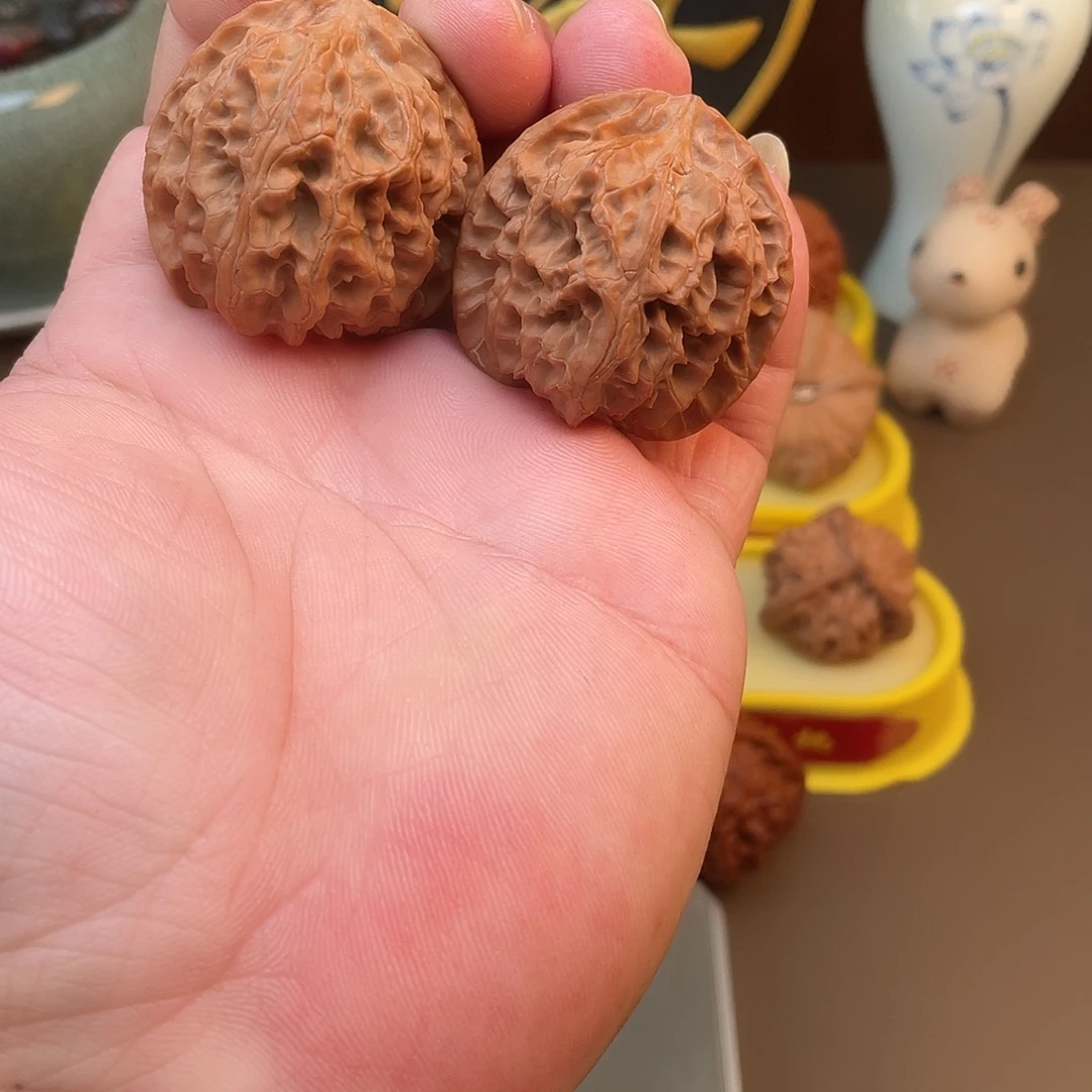 核桃苹果园全家福尺寸39