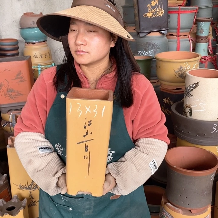 紫砂花盆盆栽花卉苗木种植