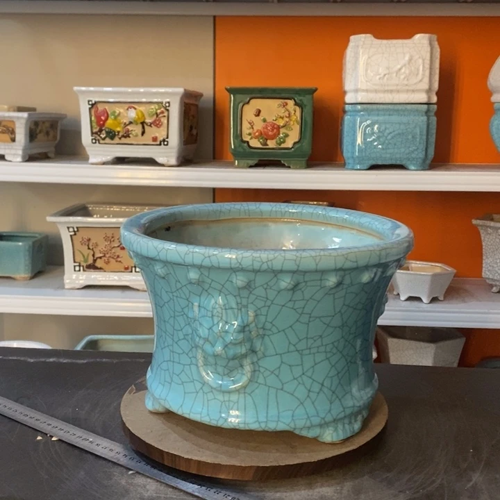 红陶三***^花盆里的小猫咪