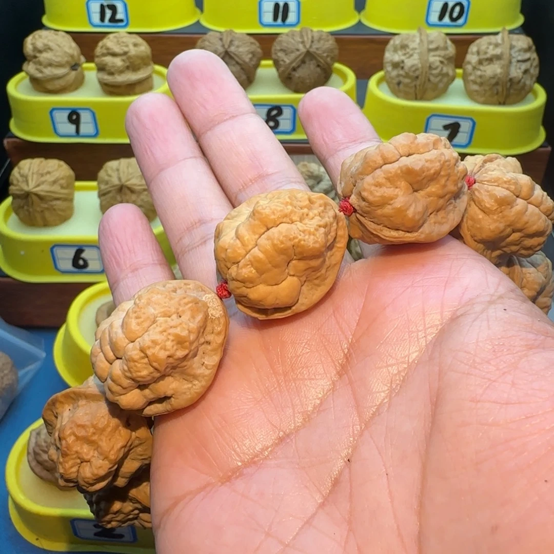 乾***龙把件桃核小云石串