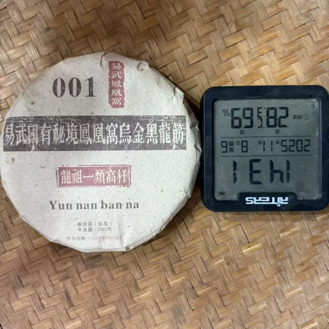 23年易武国有秘境凤凰窝乌金黑龙筋普洱生茶饼200克YH7号11月8日
