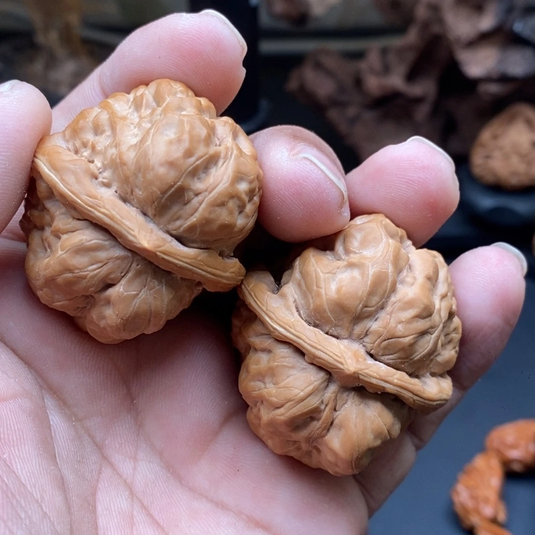 核桃蛤蟆头………………