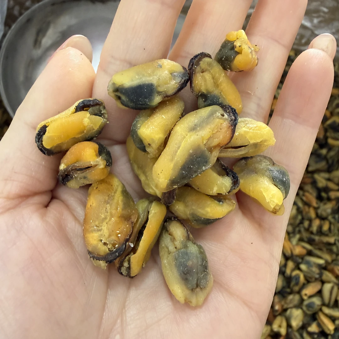 淡菜干无沙海虹干贻贝青口贝壳菜炒菜煲汤海鲜干货食材