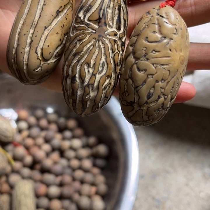 吊坠千眼菩提千眼菩提 91 号。