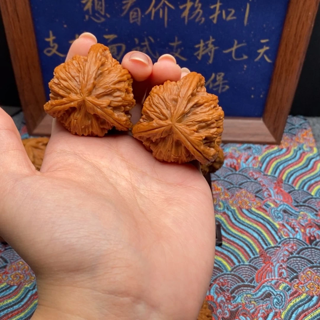 【闪购商品】深***鱼白狮