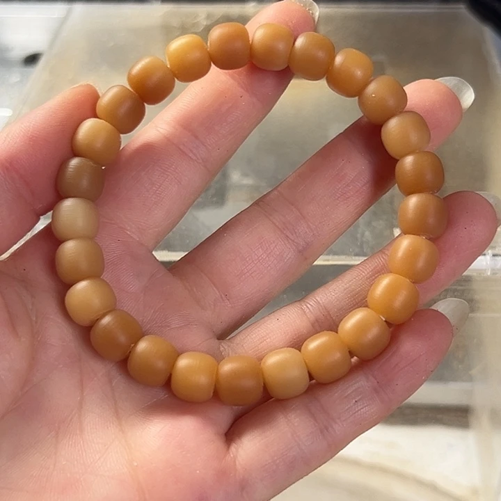 手串菩提根/象牙果