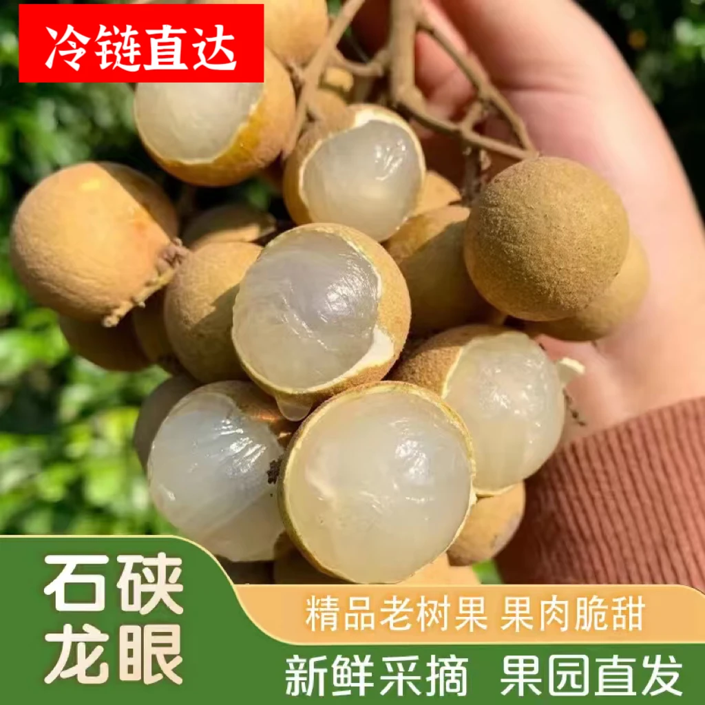 【顺丰包邮】广东正宗石硖龙眼肉厚多汁当季孕妇水果新鲜采摘V