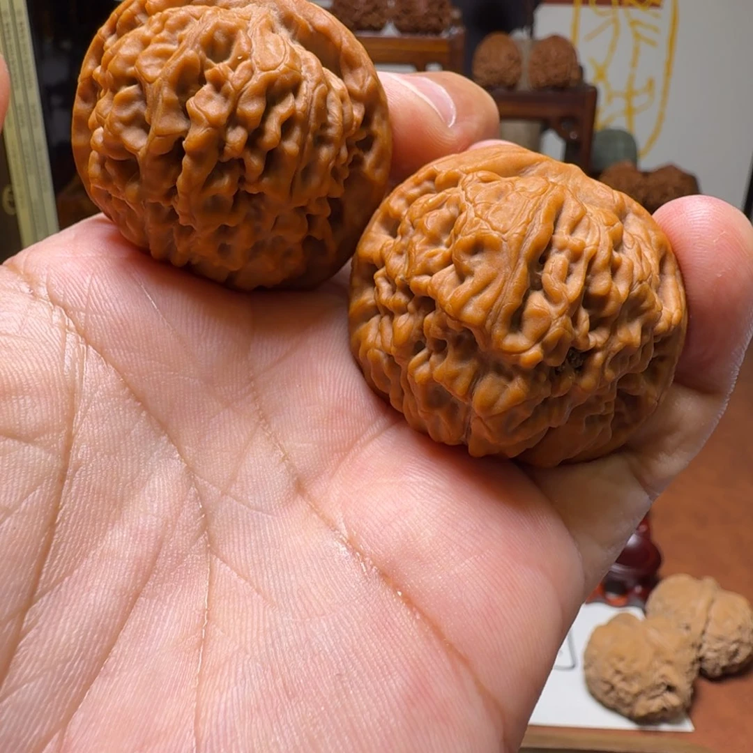 H***H道哥俱乐部f莲花42