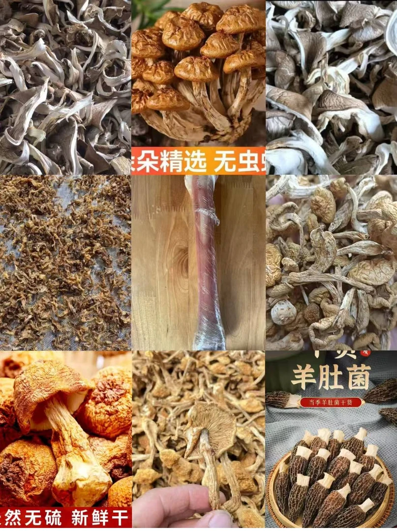 FD60- 【大古】高端品质   香菇菌子   现收山货