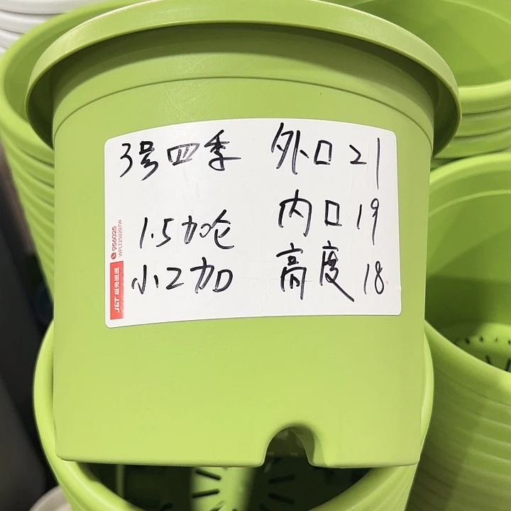 特价3号四季口21高18果绿带托10只