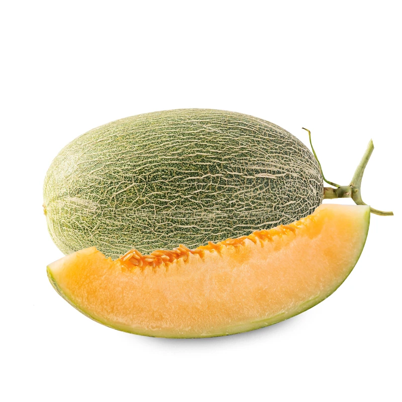 久泰农业 海南头茬沙地西州蜜瓜 一藤一瓜Y