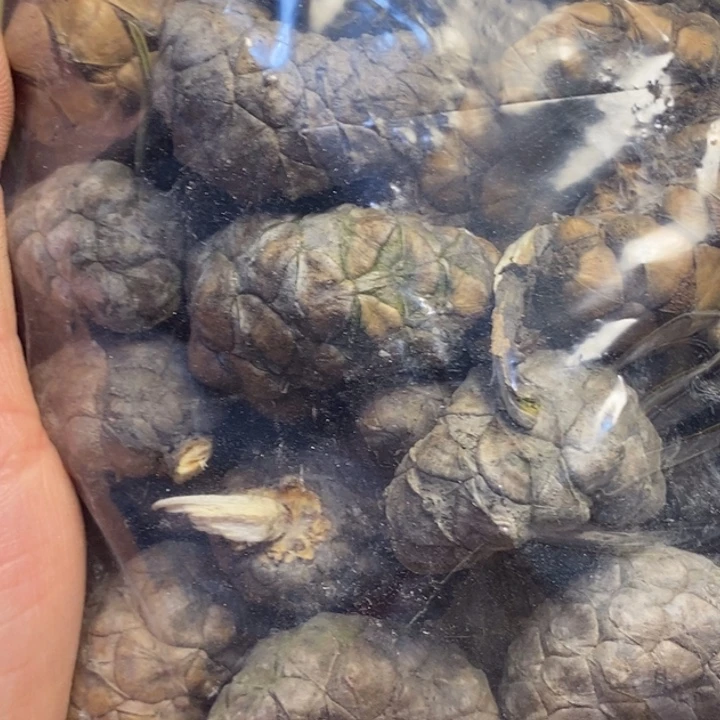 吊坠文玩核桃东北特产44