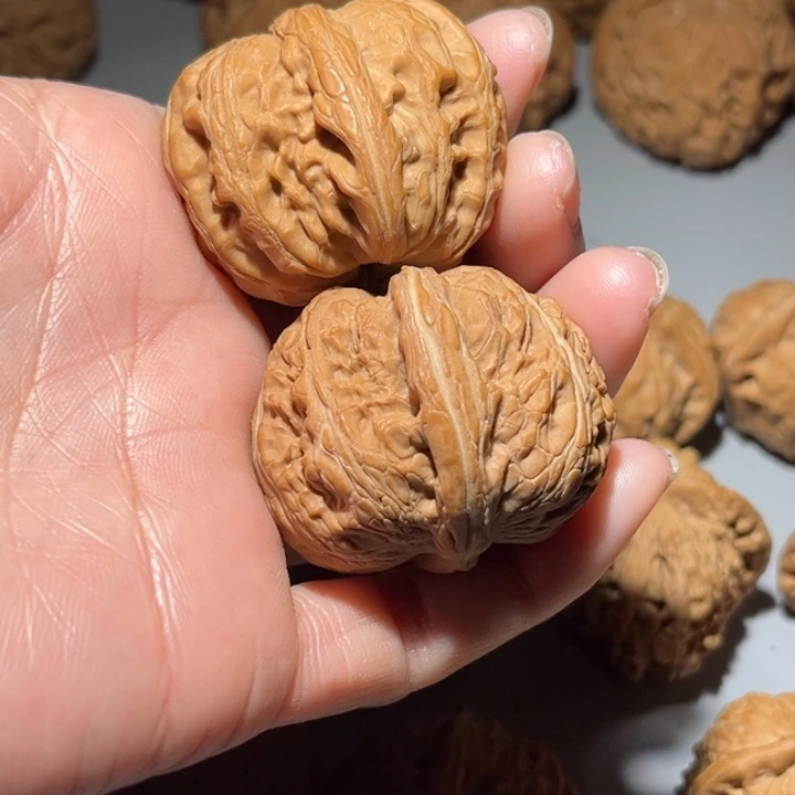 木质类元宝42全品