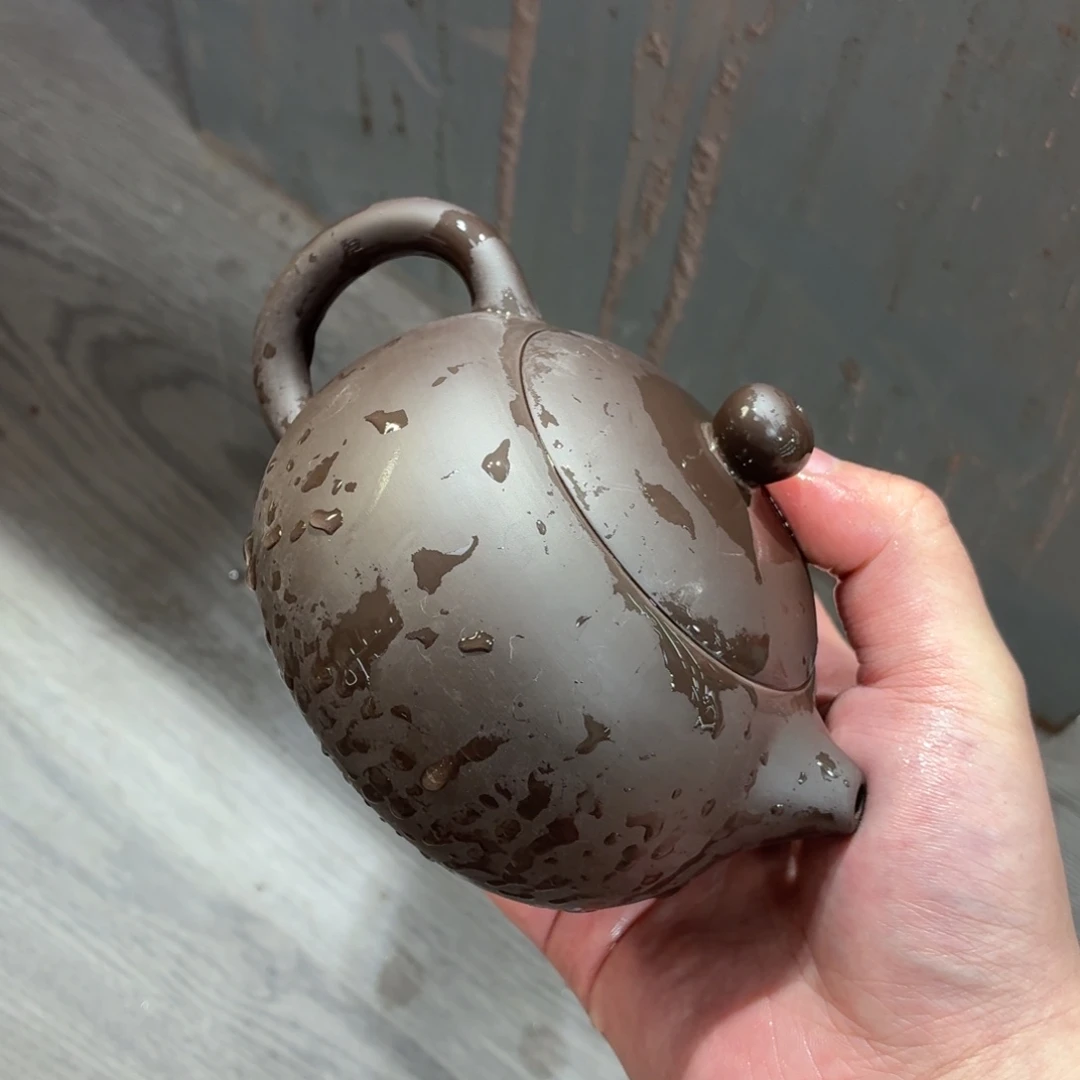 紫砂茶壶壶哈哈哈哈哈哈哈