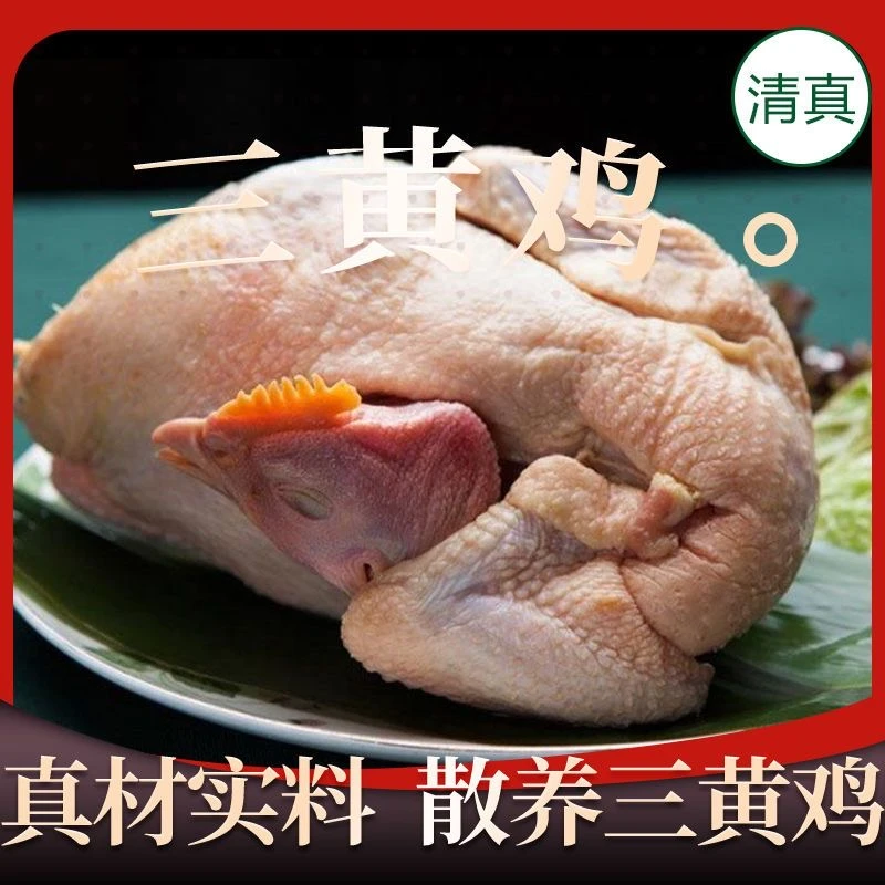 【新鲜土鸡】三只散养土鸡正宗三黄白条鸡生鲜现宰现发