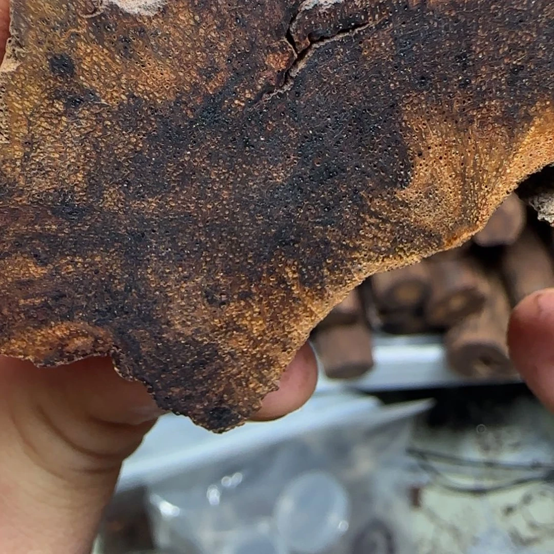 玄***乐无事牌降真香高端定制8888888