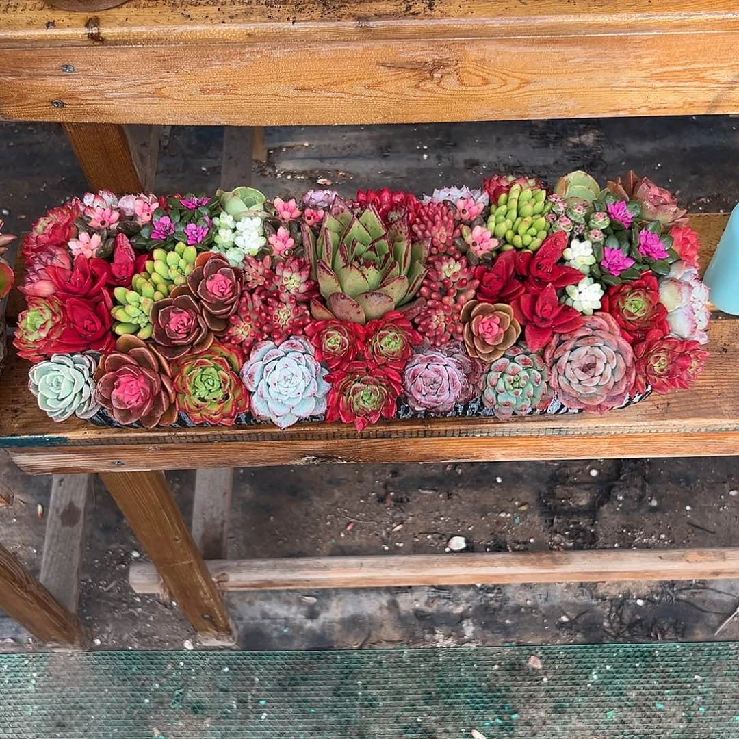 经典大长条组合花园