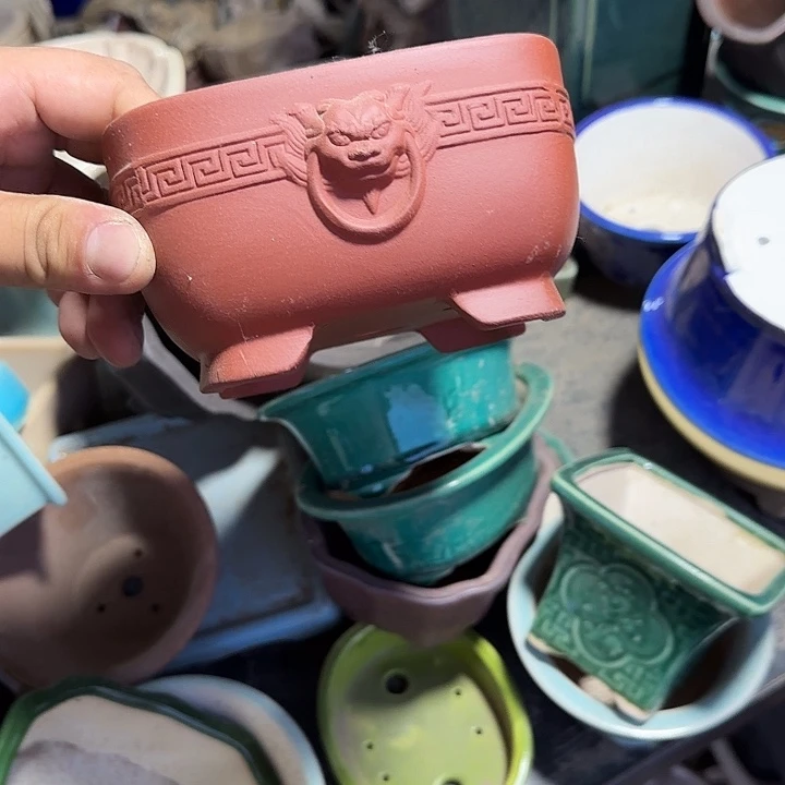 这一个人真的挺帅