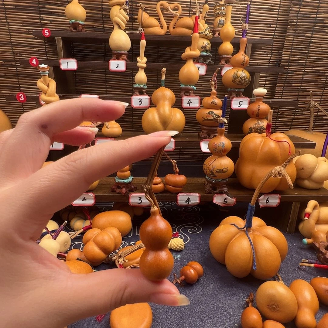 、****哈哈哈哈哈哈哈哈哈哈哈