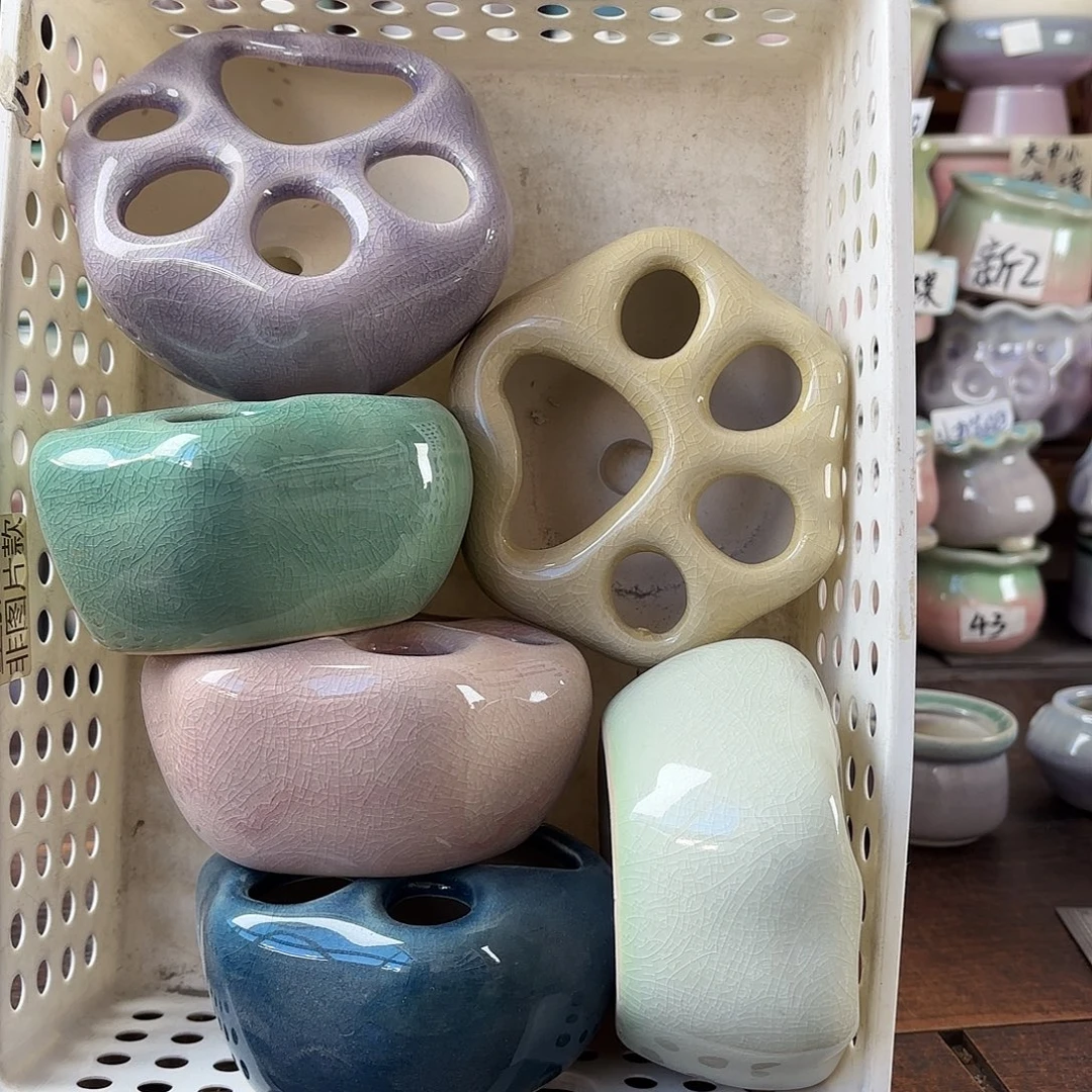 量货/2-3口高深浅搭配发2